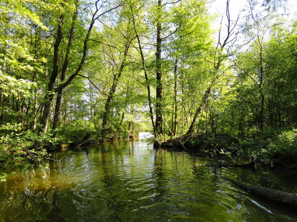 Ferienpark Am Glubigsee Wendisch Rietz Exterior foto